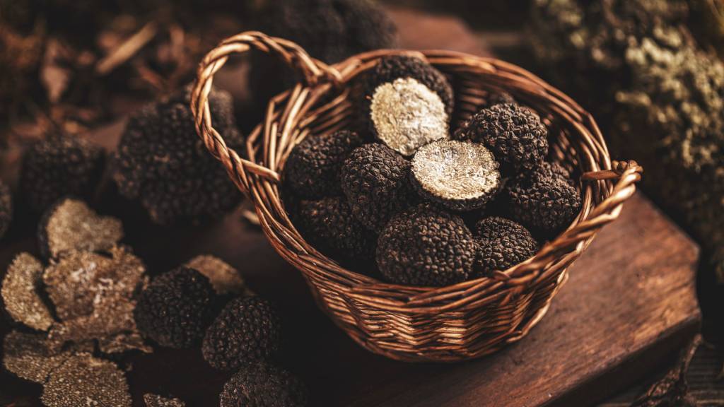 Grand-Hotel-Elite-Cascia-Pacchetto-Sagra-Tartufo-1